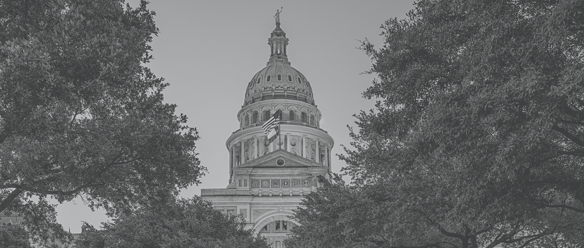 Black and white image of Texas State Capitol building with American and Texas flag in Austin framed by trees.