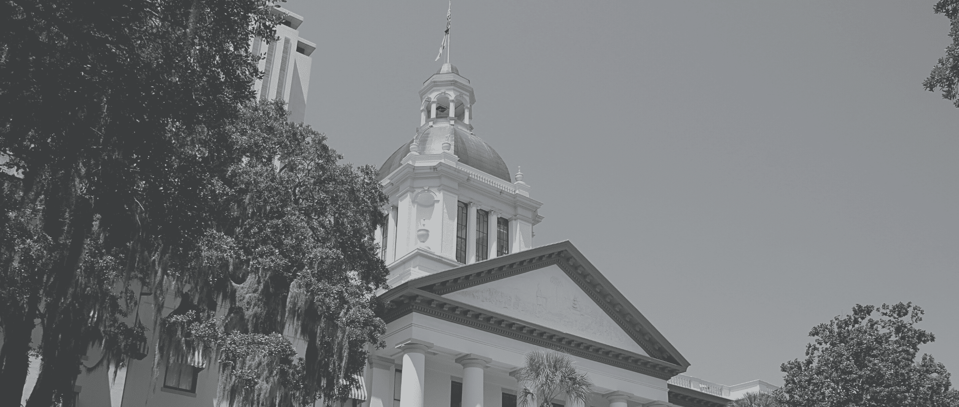 Black and white front view of the Florida State Capitol building in Tallahassee, featuring a white dome, classical columns, and palm trees against a clear sky.