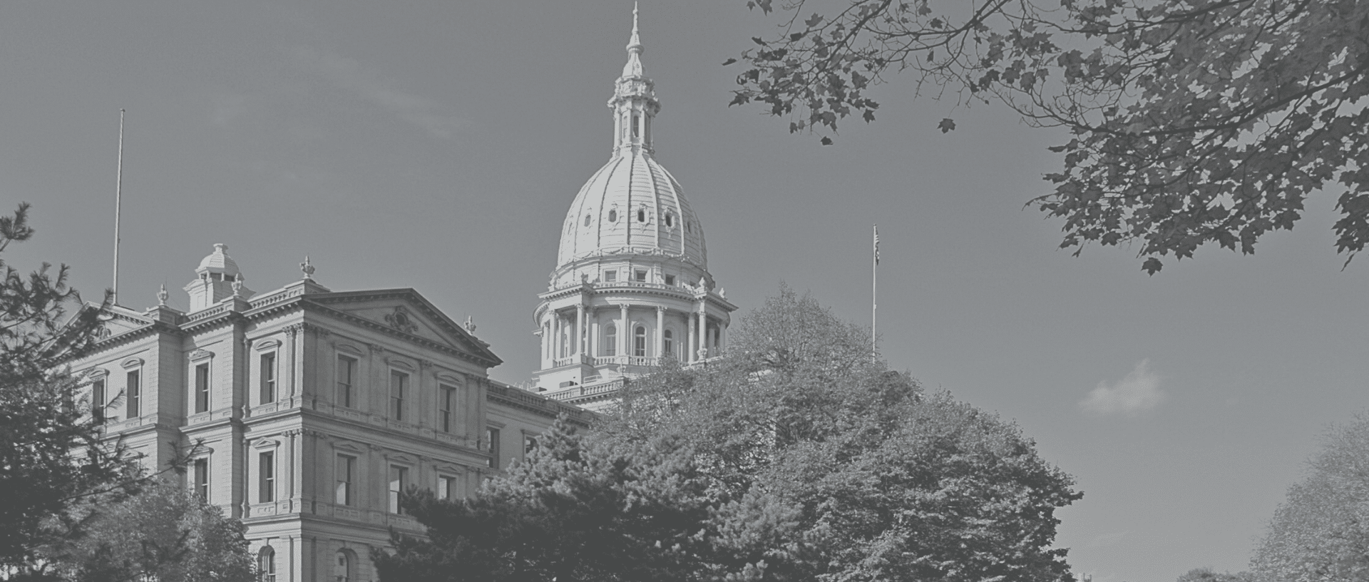 Black and white image Exterior view of the Michigan State Capitol building in Lansing, Michigan, framed by trees under a clear sky.